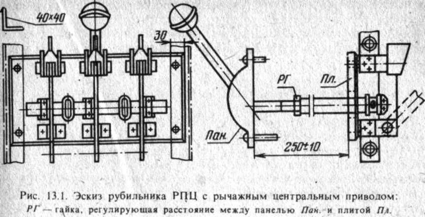 Ris_13.1